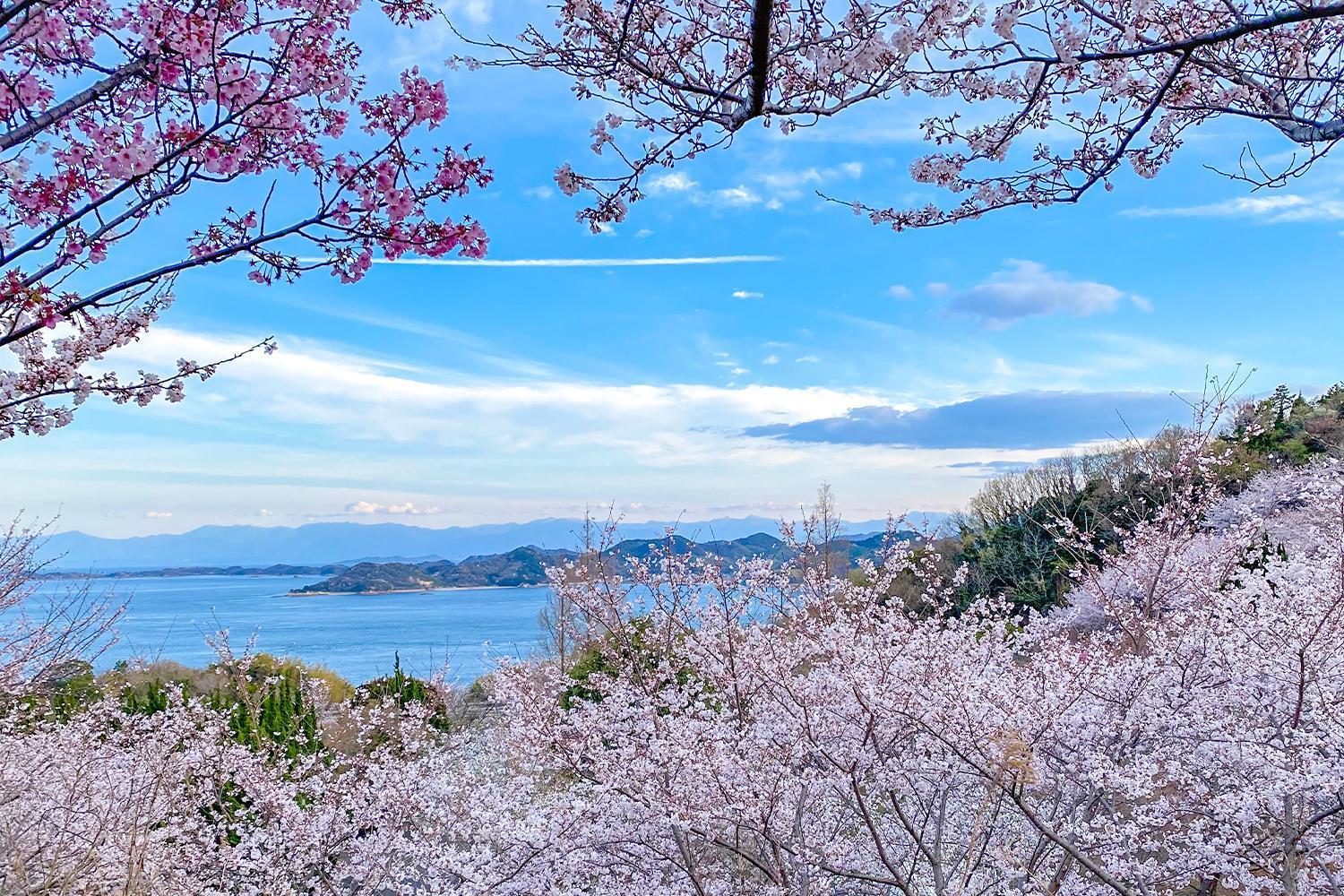Lemon Farm Glamping Simanami Villa Onomichi Luaran gambar