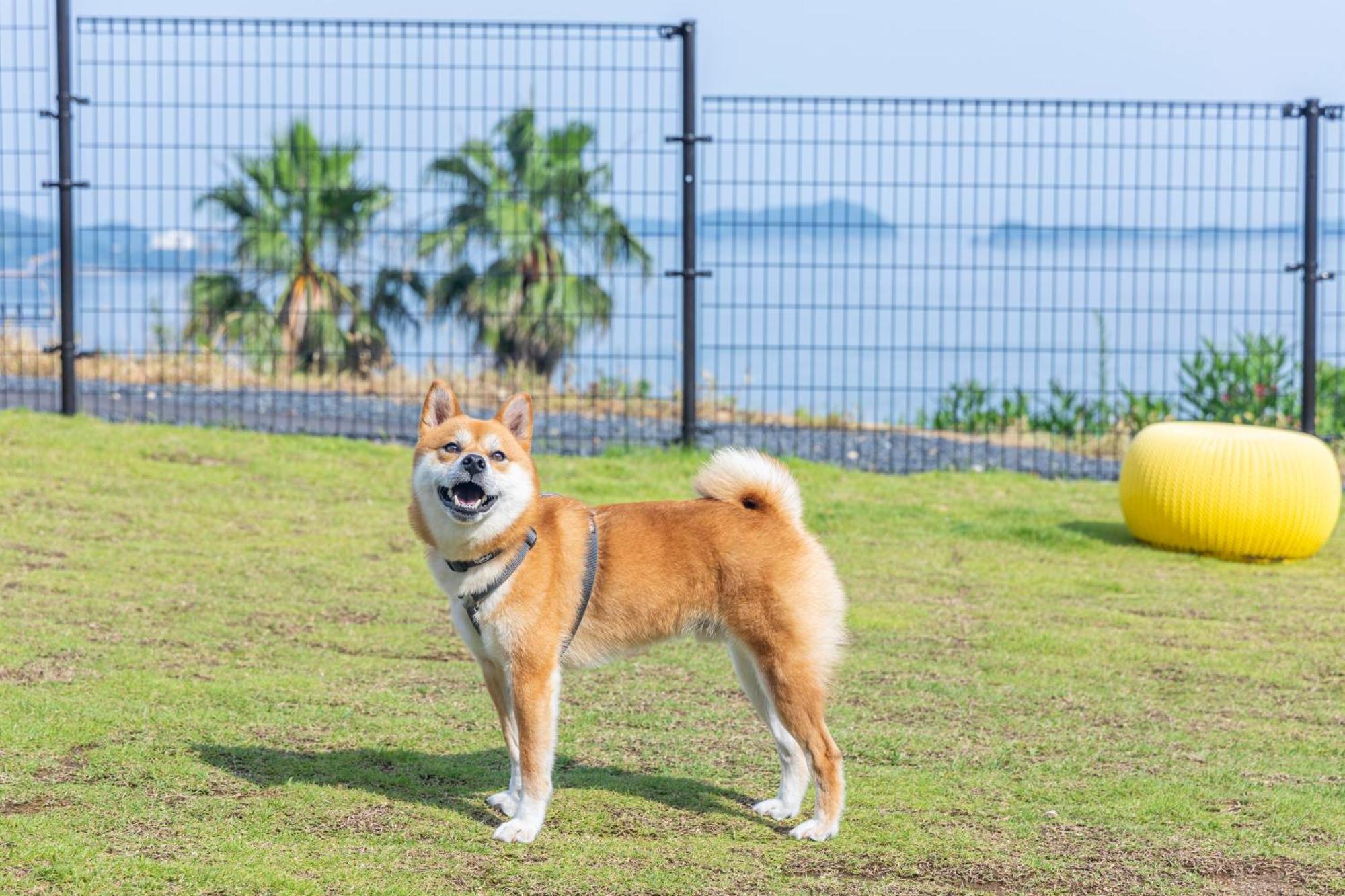Lemon Farm Glamping Simanami Villa Onomichi Luaran gambar